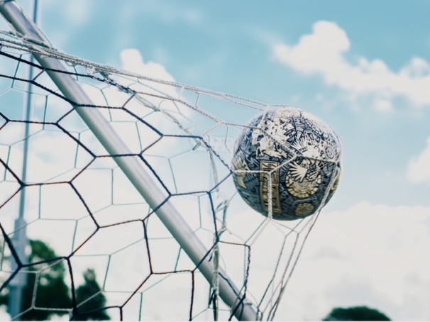 Football in a net